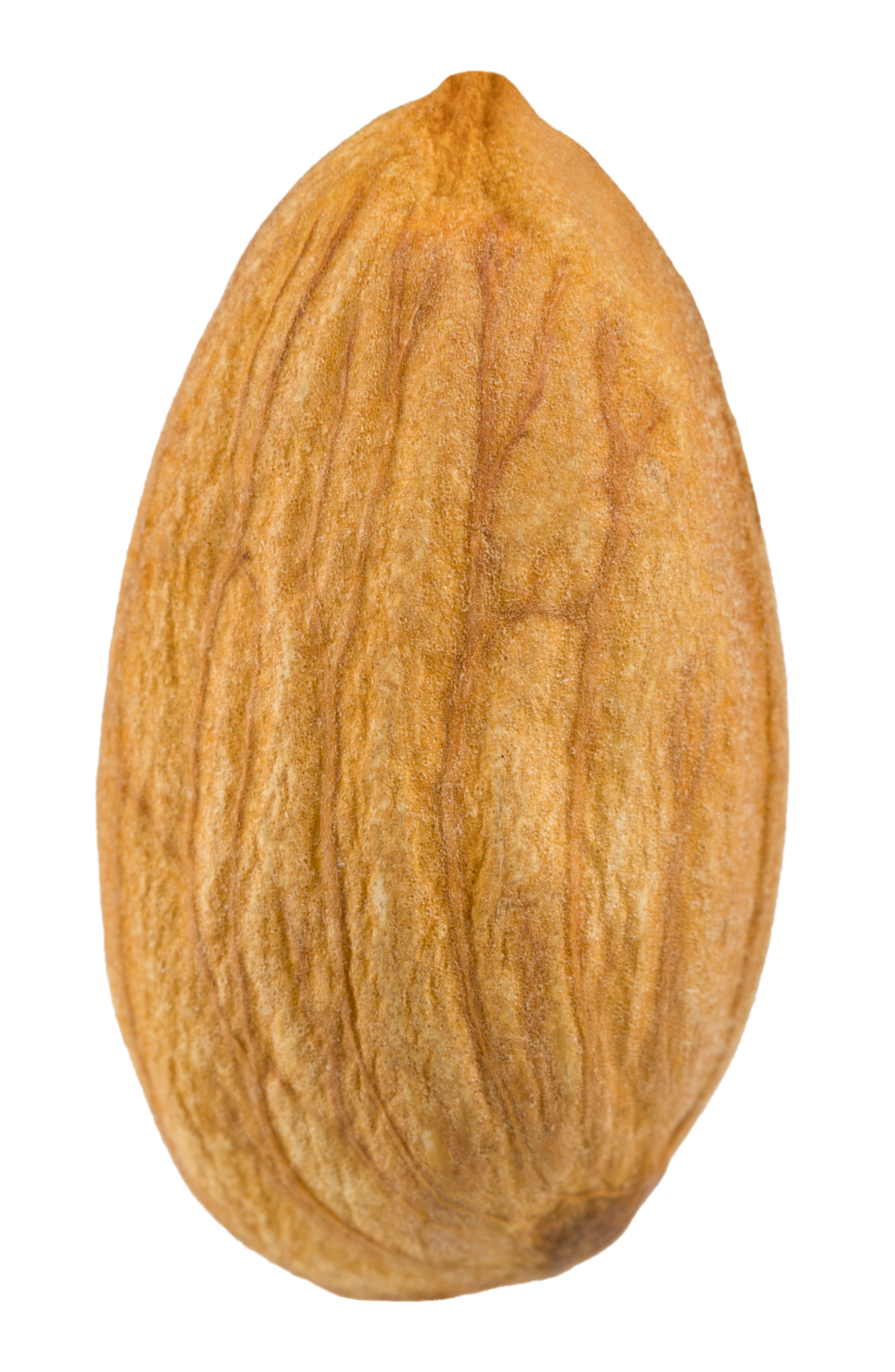 almendra grande