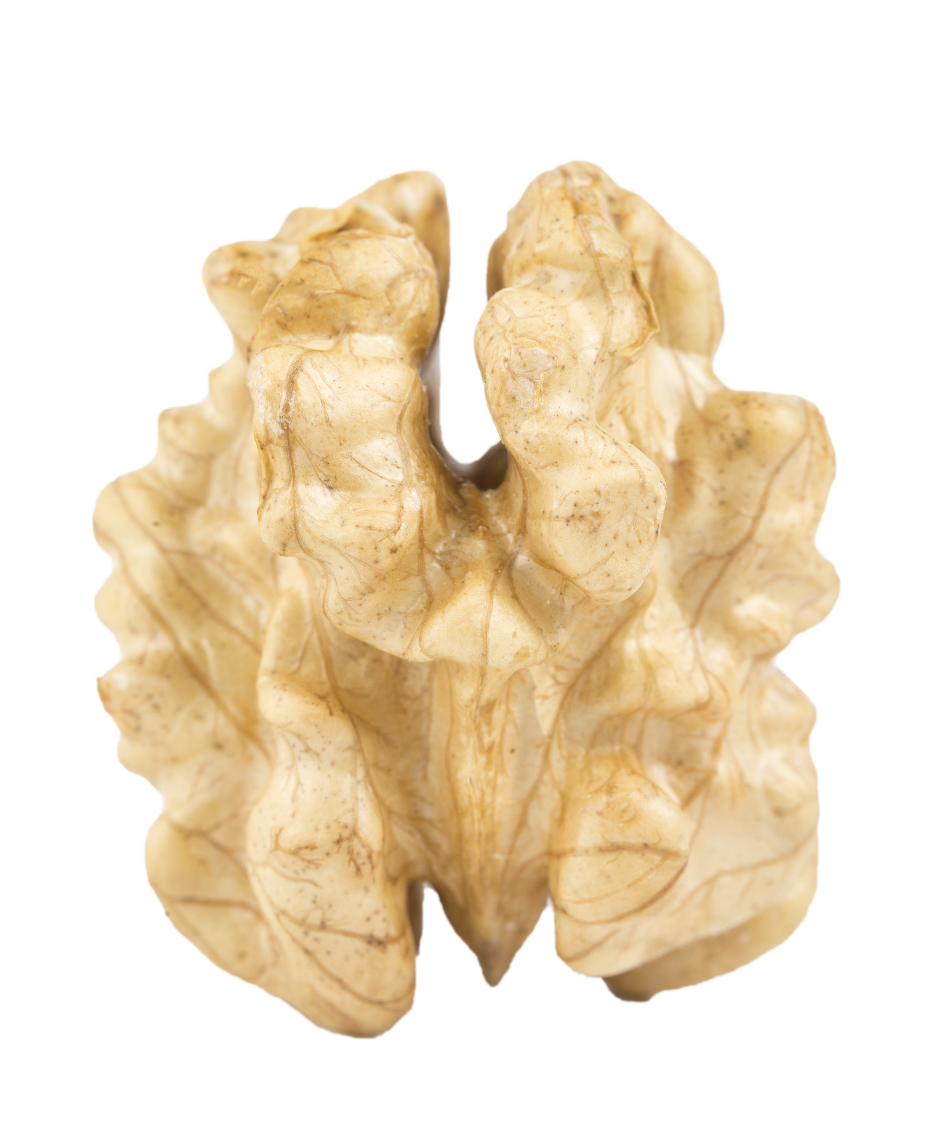 mariposa alta